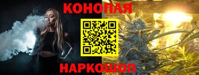 крисы Донской
