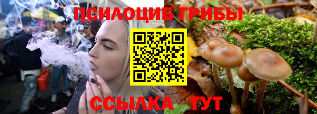 Минеральные Воды  Псилоцибиновые грибы ЛСД  Вход с VPN 